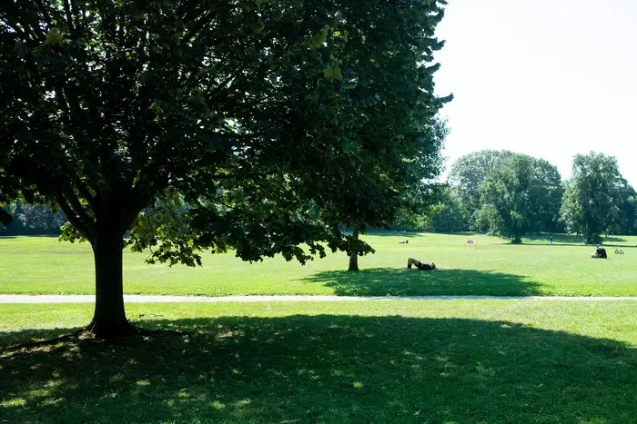 A photo of someone relaxing in Prospect Park